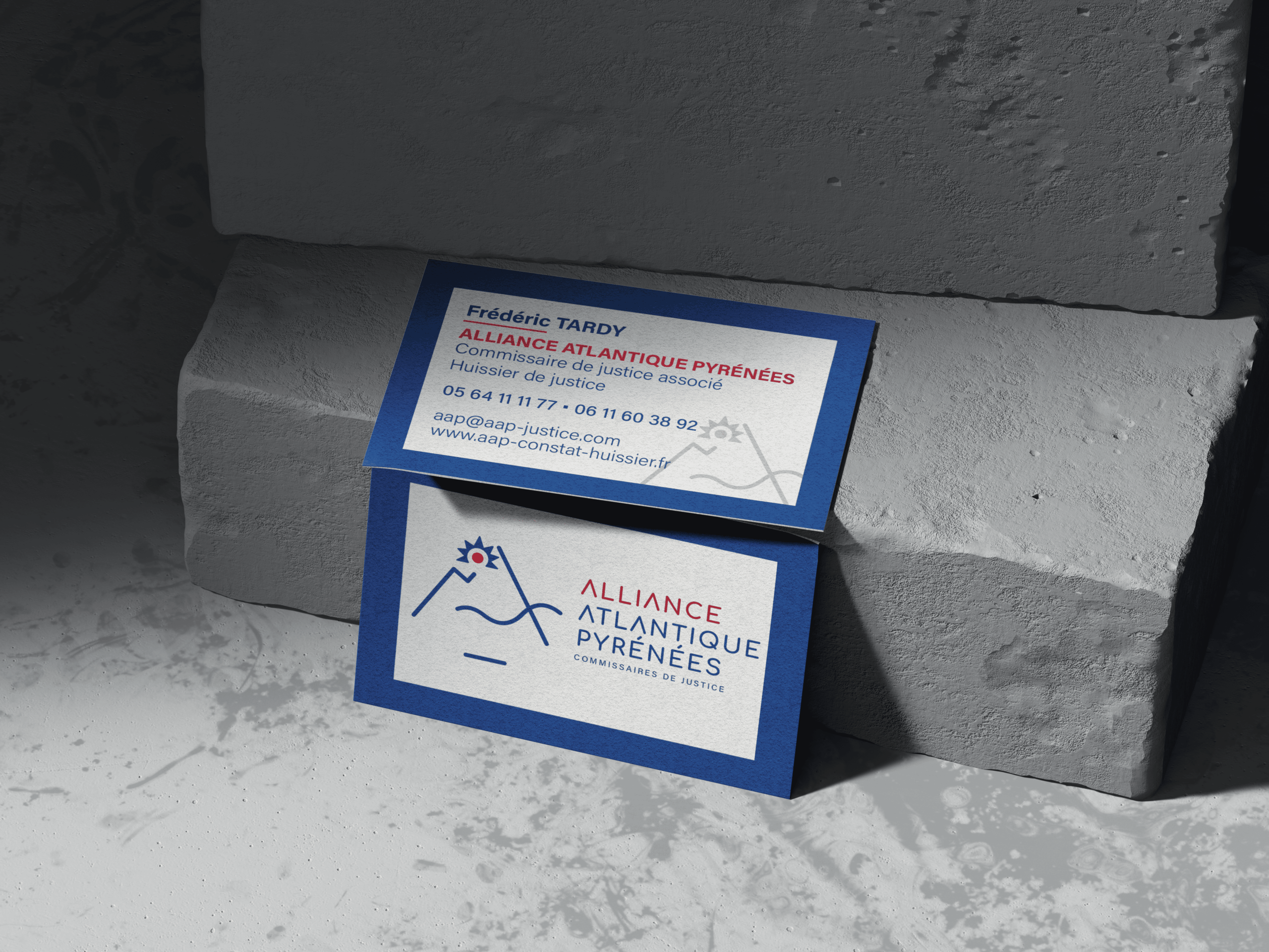 Identité visuelle_AllianceAtlantiquePyrénées_AlissaRUIZ