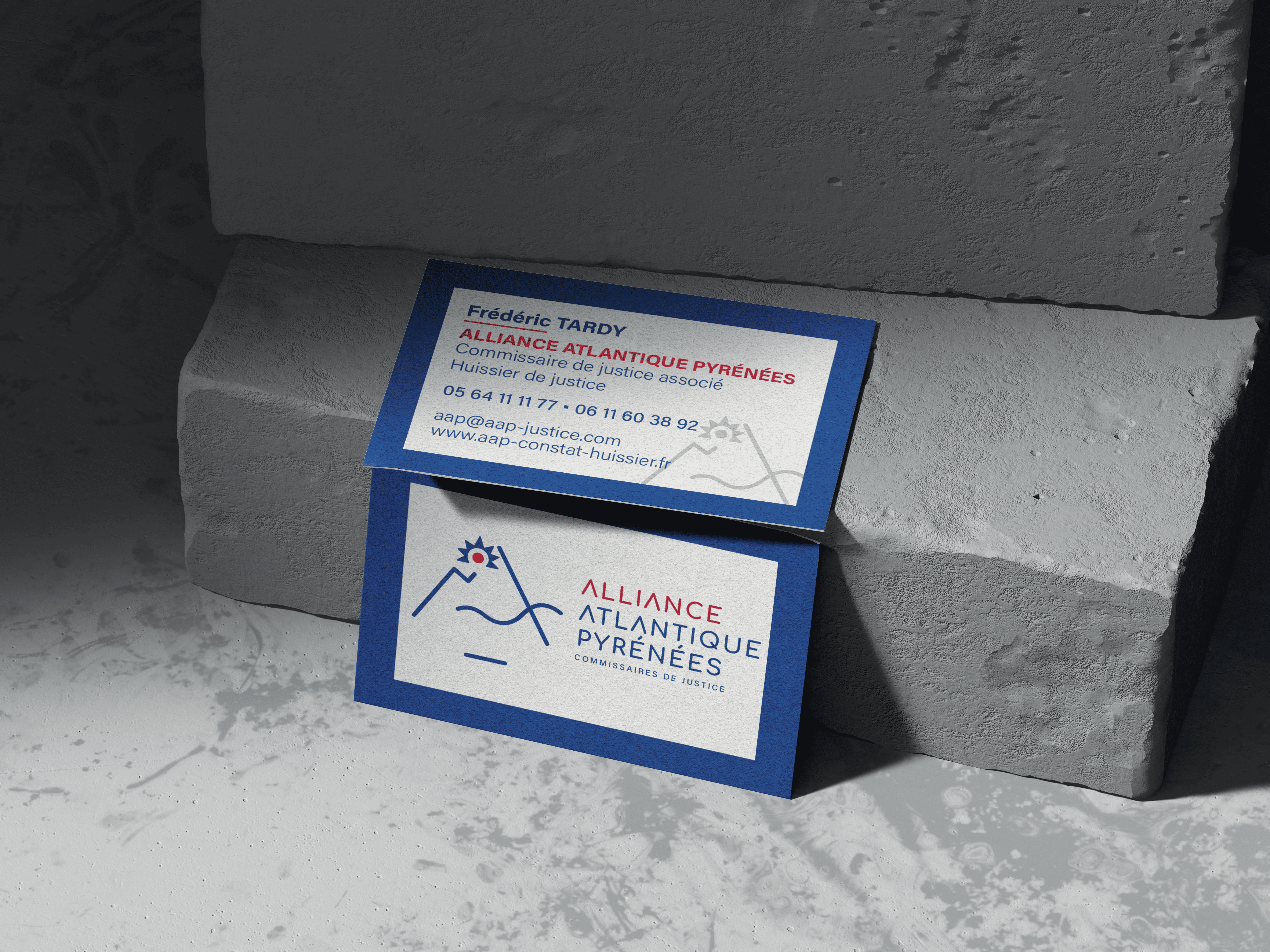 Identité visuelle_AllianceAtlantiquePyrénées_AlissaRUIZ
